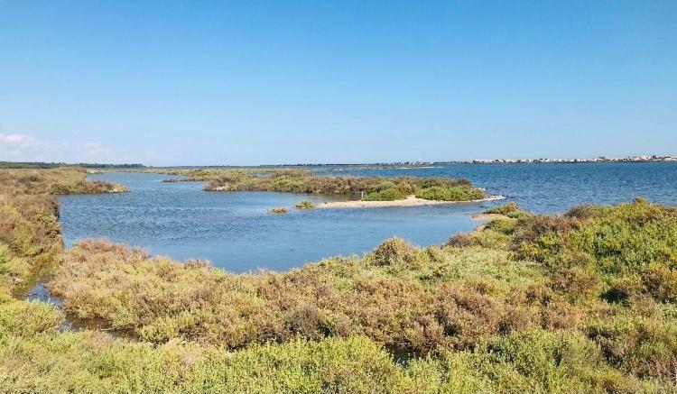 Le Nautica Plage T2 Climatise En Bord De Mer Frontignan Bagian luar foto