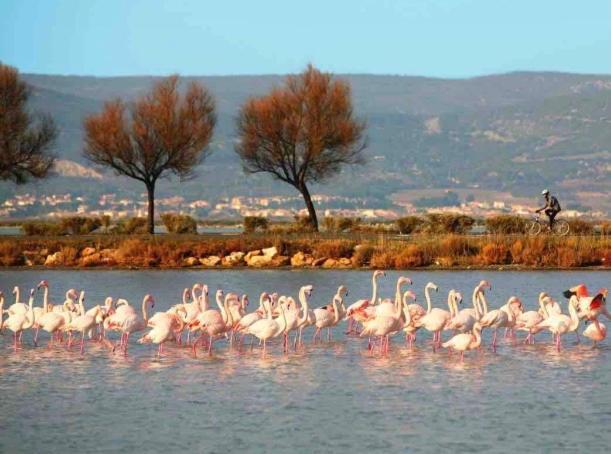 Le Nautica Plage T2 Climatise En Bord De Mer Frontignan Bagian luar foto